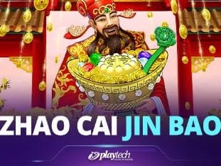 Zhao Cai Tong Zi icon